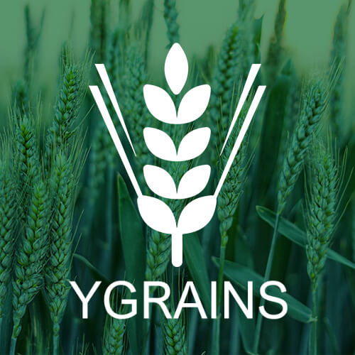 Vignette carré Ygrains Réalisation Ygrains | Mobius Web