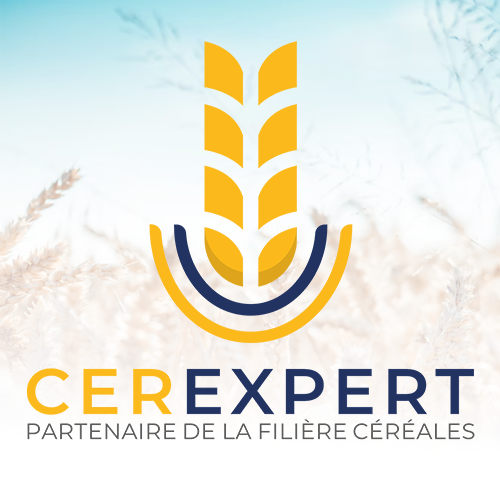 Logo Cerexpert
